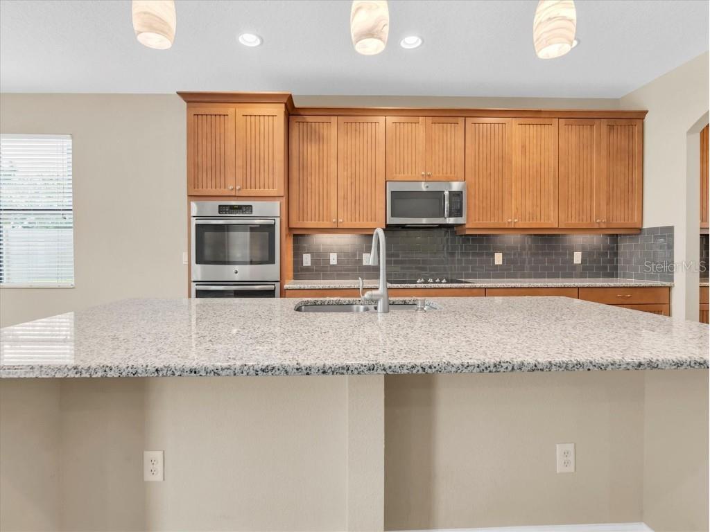 19326 Long Lake Ranch Boulevard Lutz FL 33558 W7876383 image9