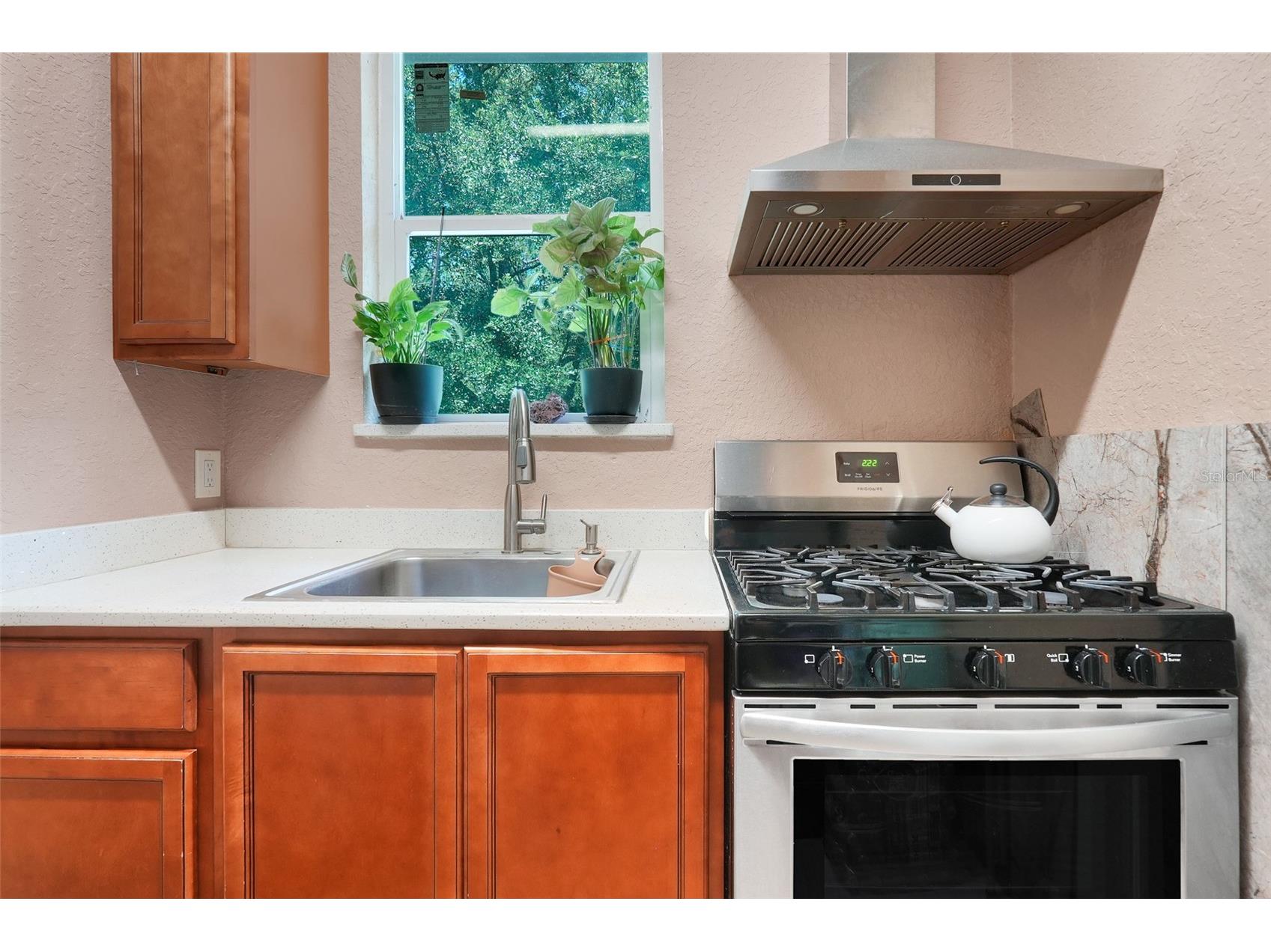 19327 Ralston St Orlando FL 32833 G5114719 image28