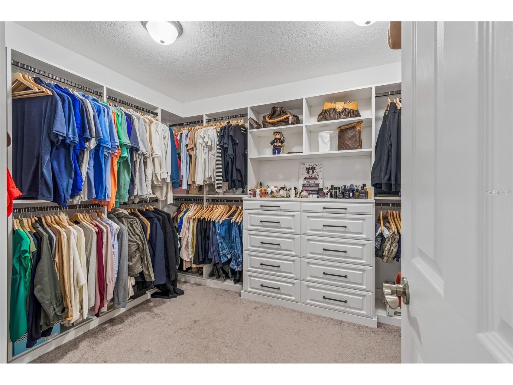19328 Breynia Dr Lutz FL 33558 TB8528576 image40