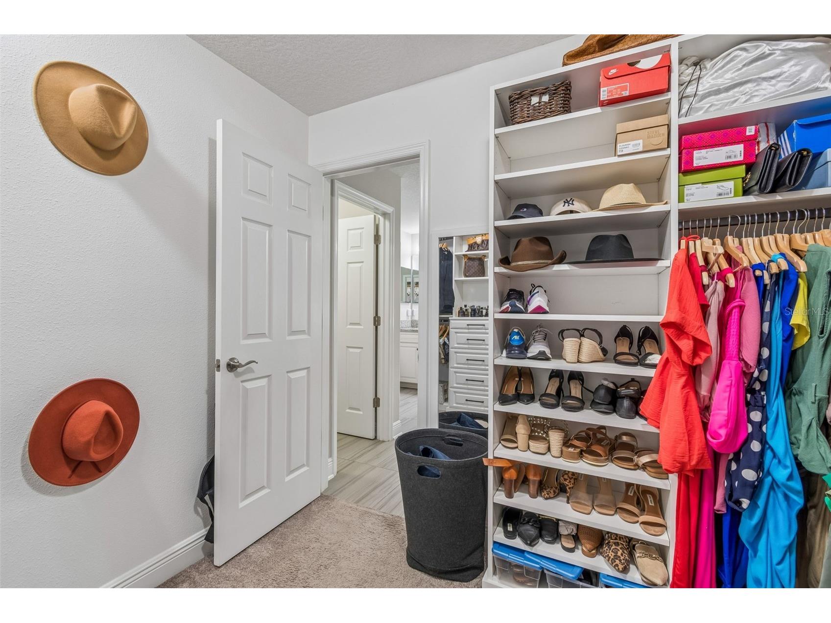 19328 Breynia Dr Lutz FL 33558 TB8528576 image41