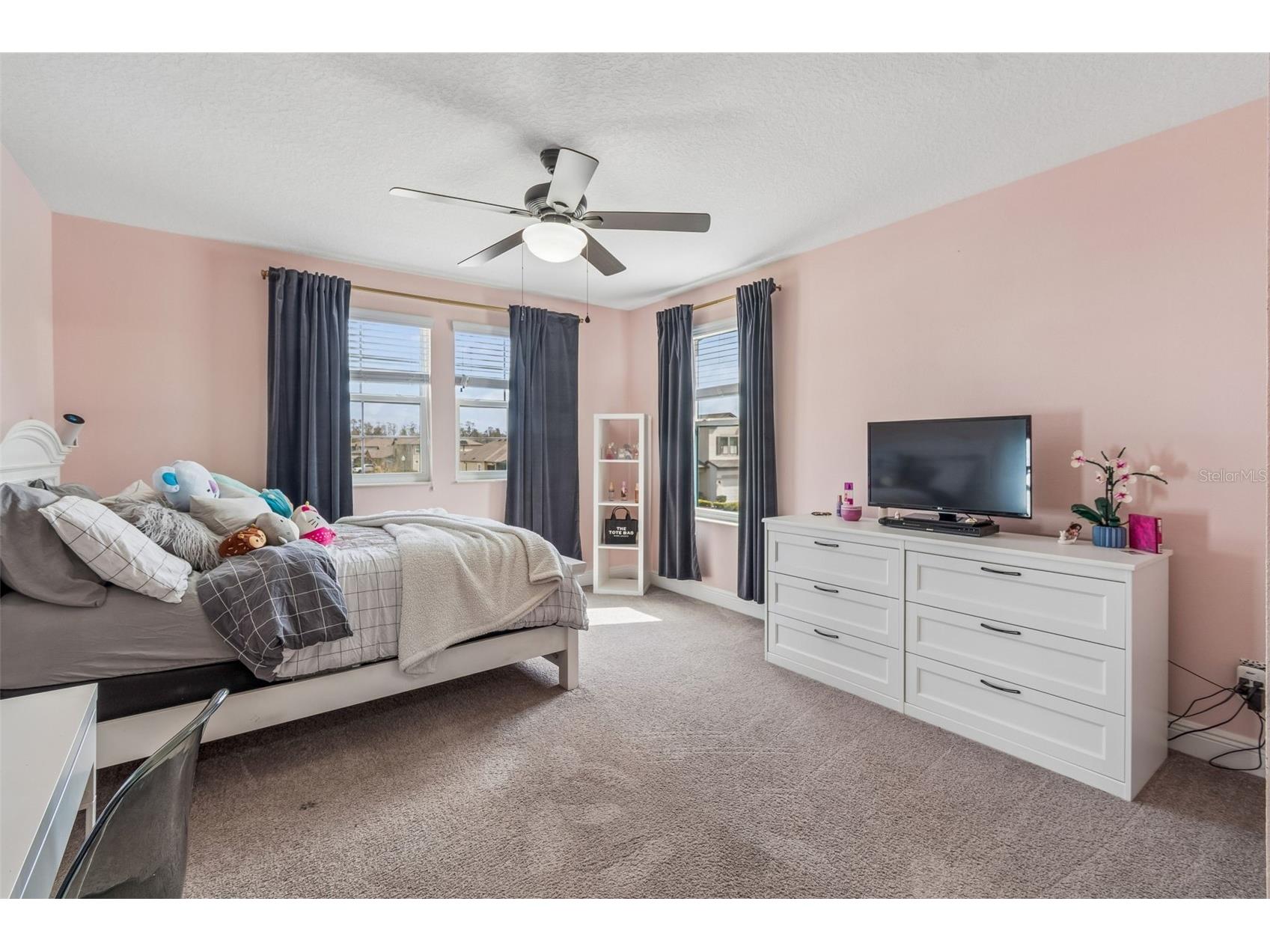 19328 Breynia Dr Lutz FL 33558 TB8528576 image46