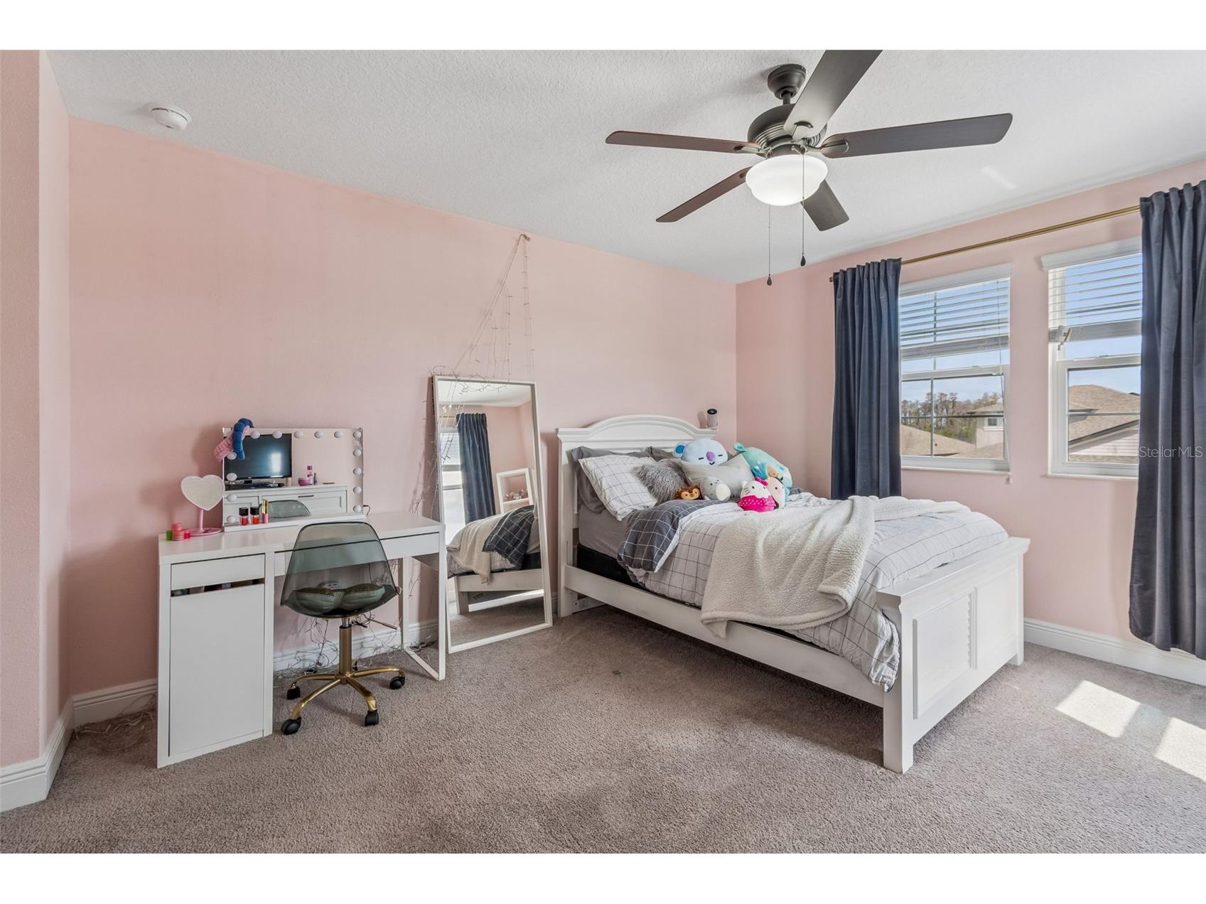 19328 Breynia Dr Lutz FL 33558 TB8528576 image47