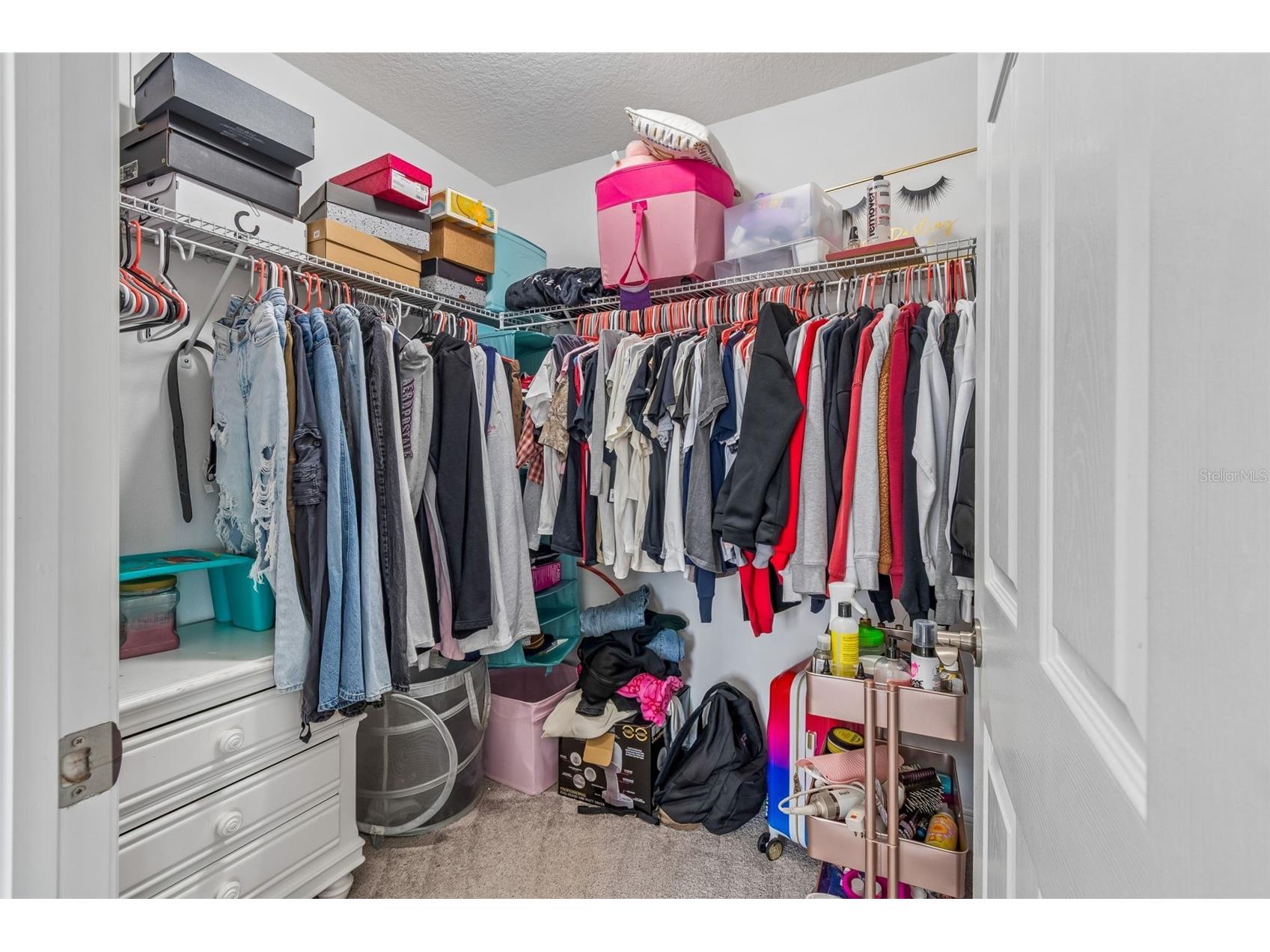 19328 Breynia Dr Lutz FL 33558 TB8528576 image48