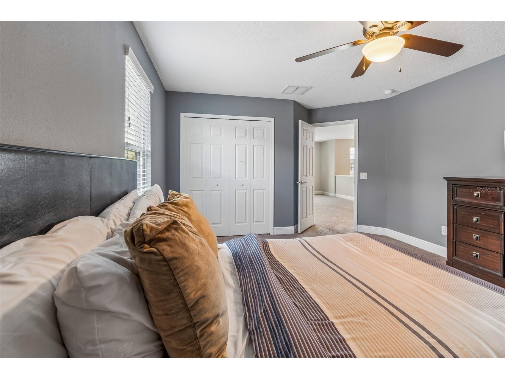 19328 Breynia Dr Lutz FL 33558 TB8528576 image56
