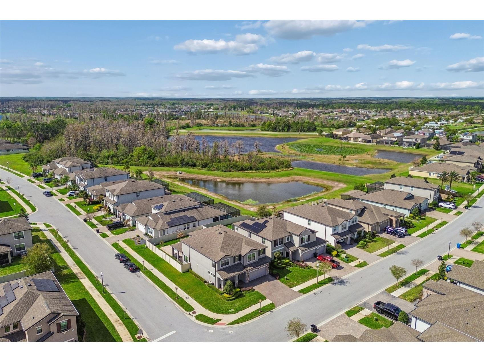 19328 Breynia Dr Lutz FL 33558 TB8528576 image72