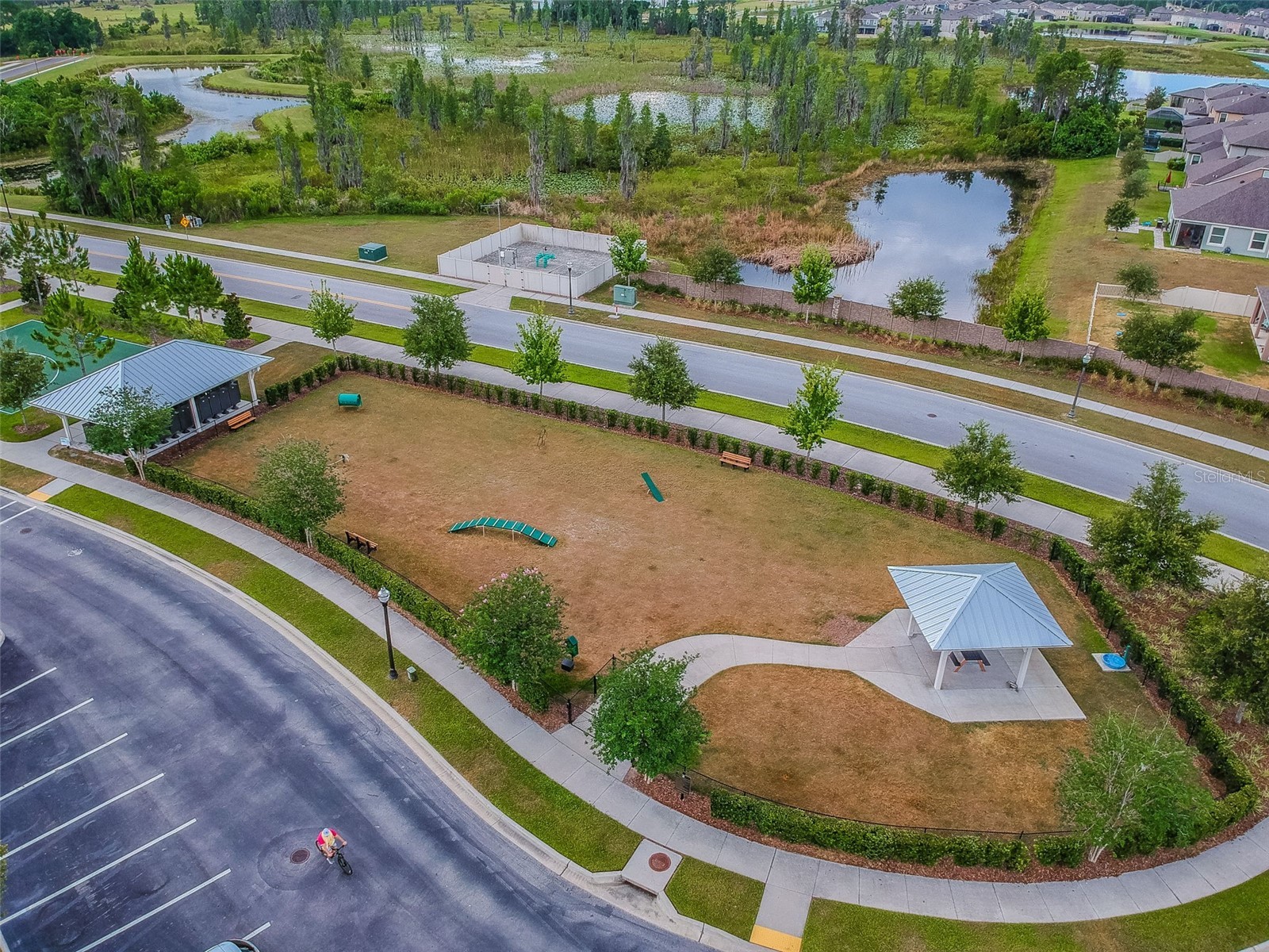 19328 Breynia Dr Lutz FL 33558 TB8528576 image89