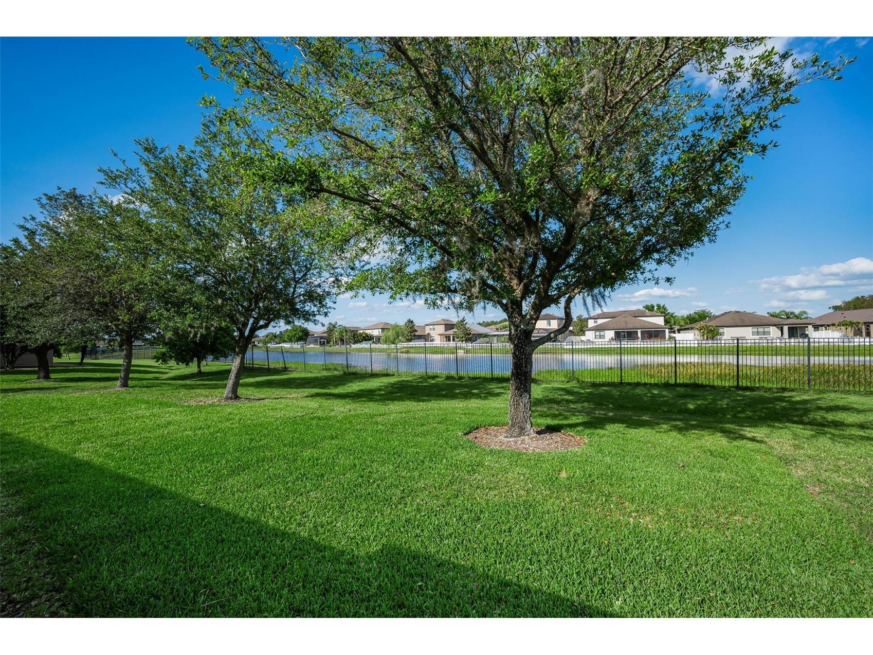 1933 Arbor Knoll Loop Trinity FL 34655 W7884805 image44