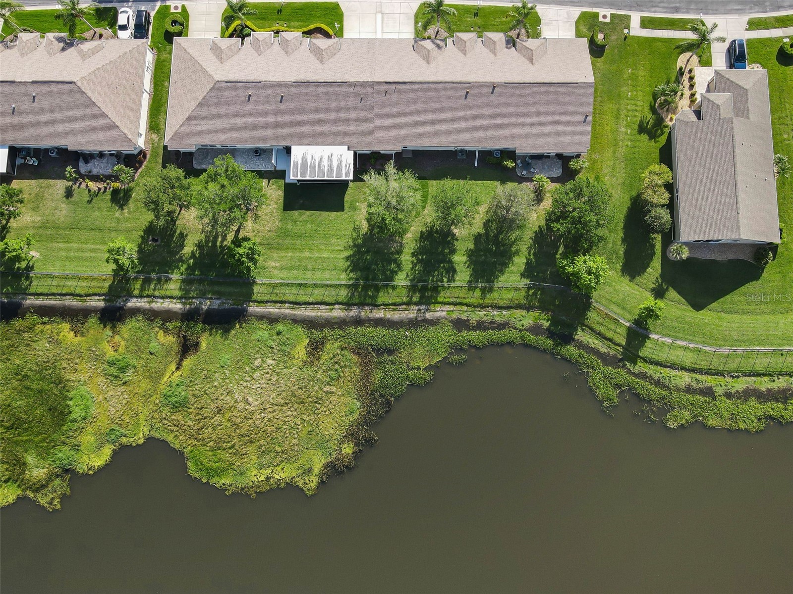 1933 Arbor Knoll Loop Trinity FL 34655 W7884805 image45