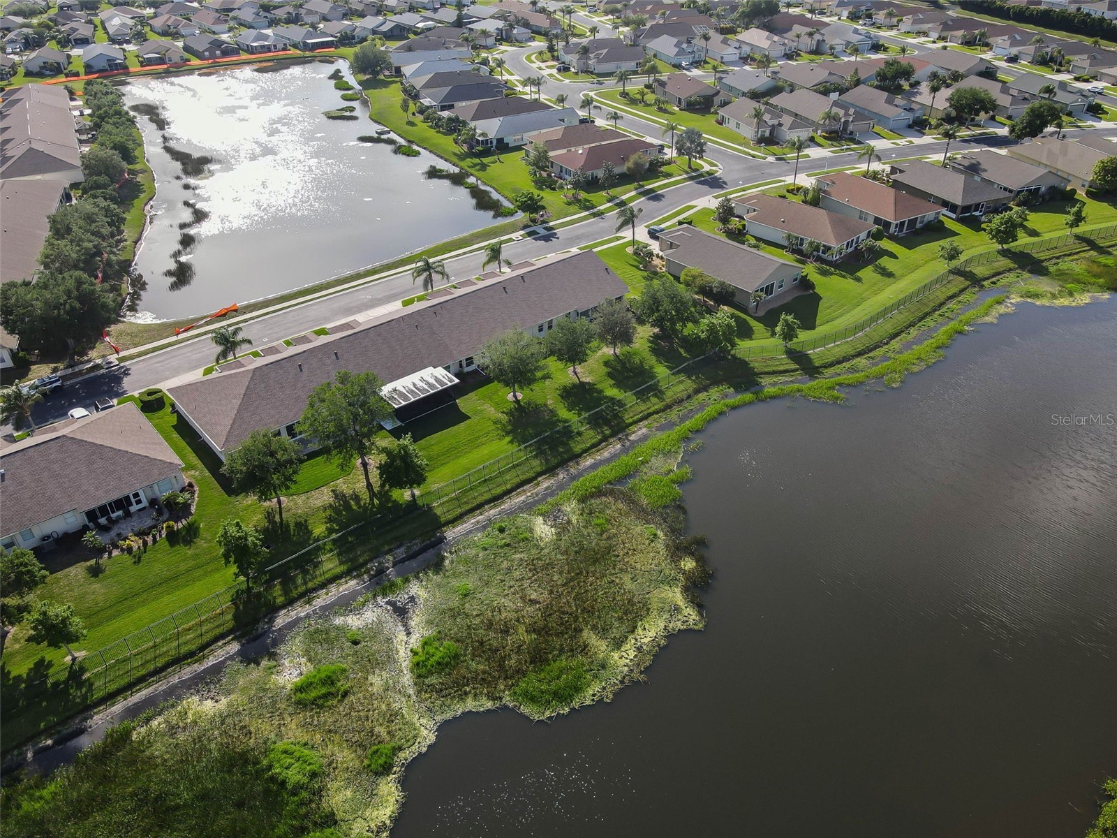 1933 Arbor Knoll Loop Trinity FL 34655 W7884805 image47