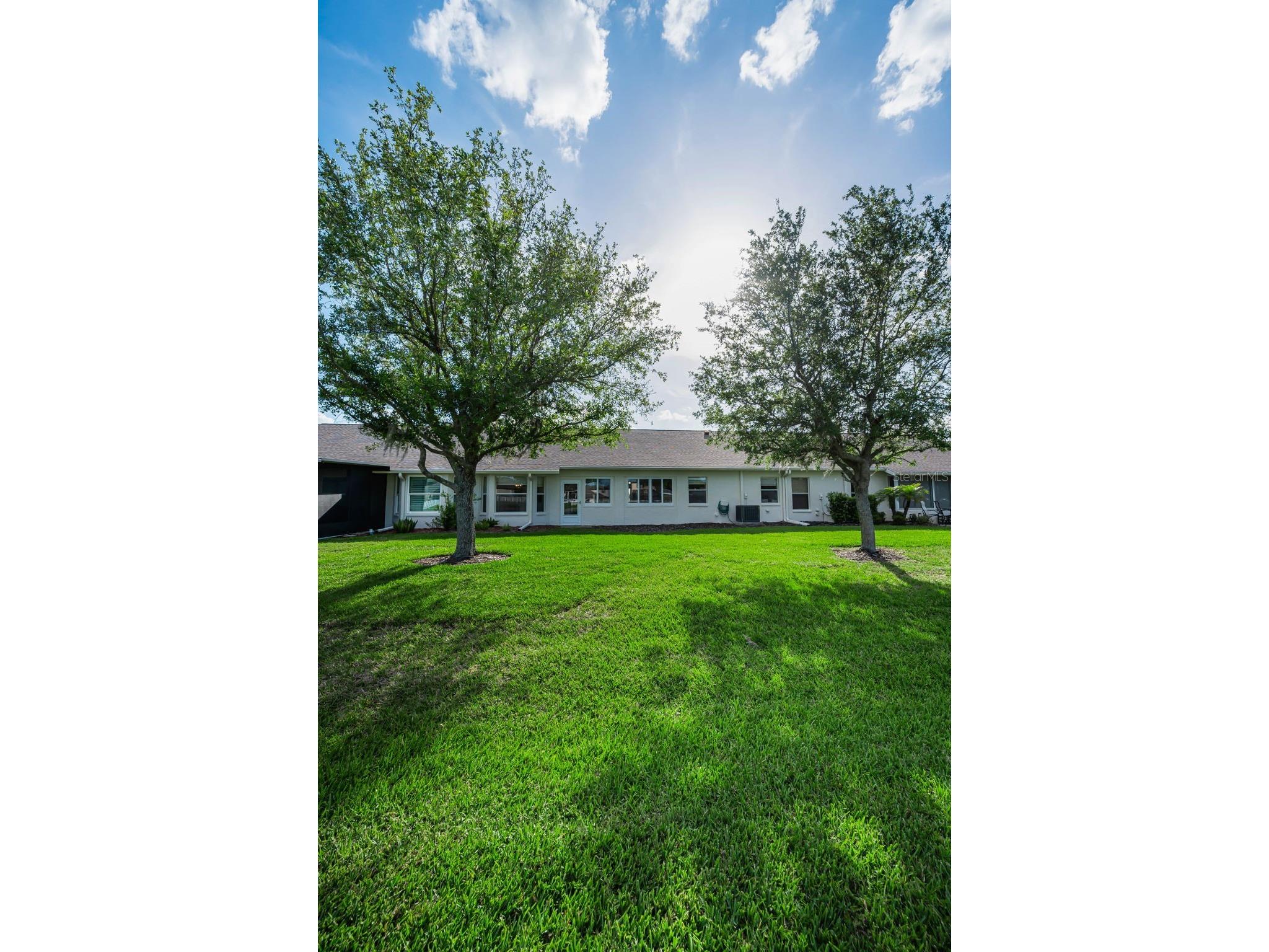 1933 Arbor Knoll Loop Trinity FL 34655 W7884805 image50