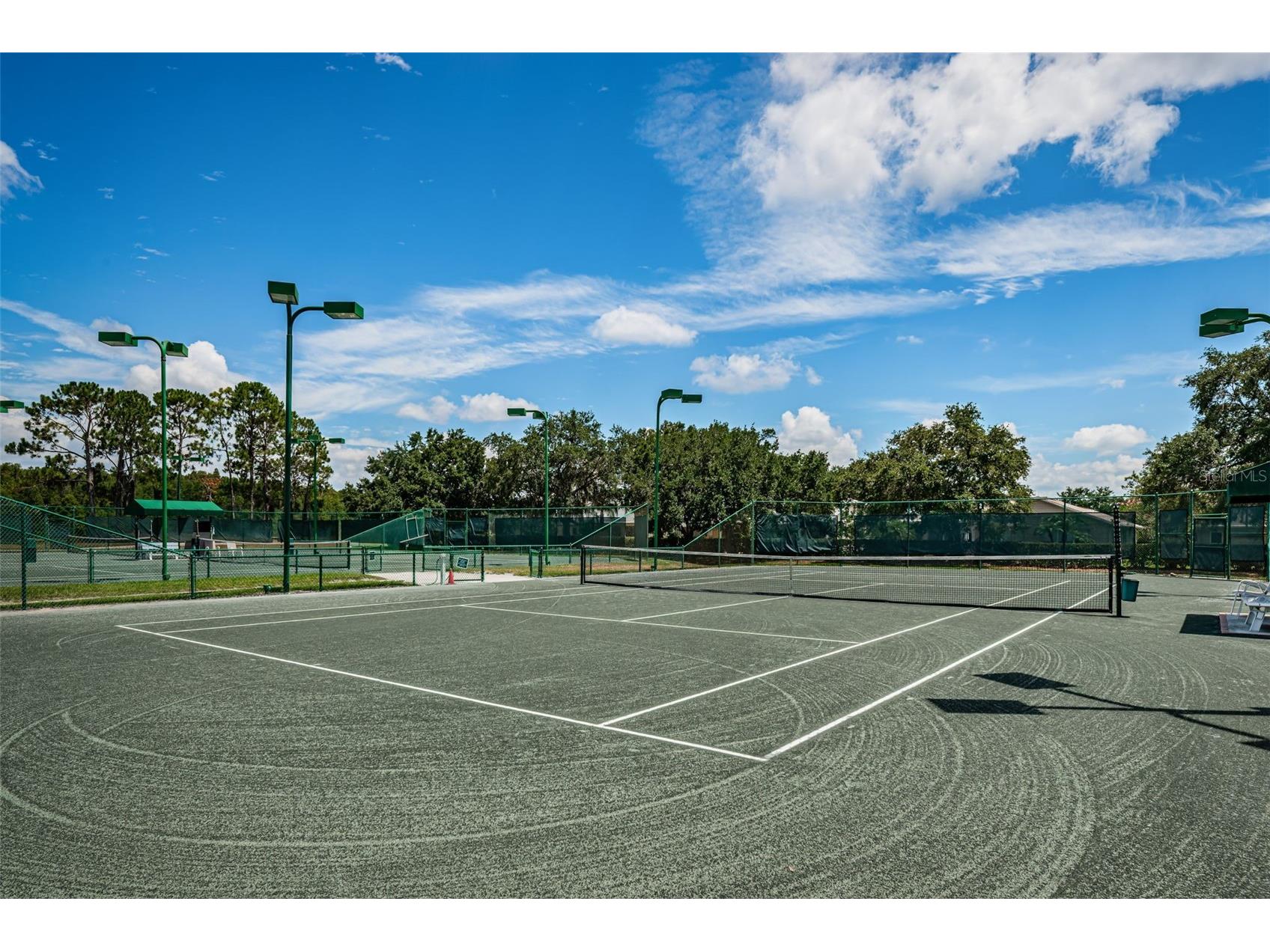1933 Arbor Knoll Loop Trinity FL 34655 W7884805 image92