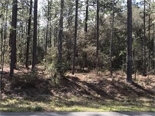 1933 Cr 243c Wildwood FL 34785 G5100593 image1