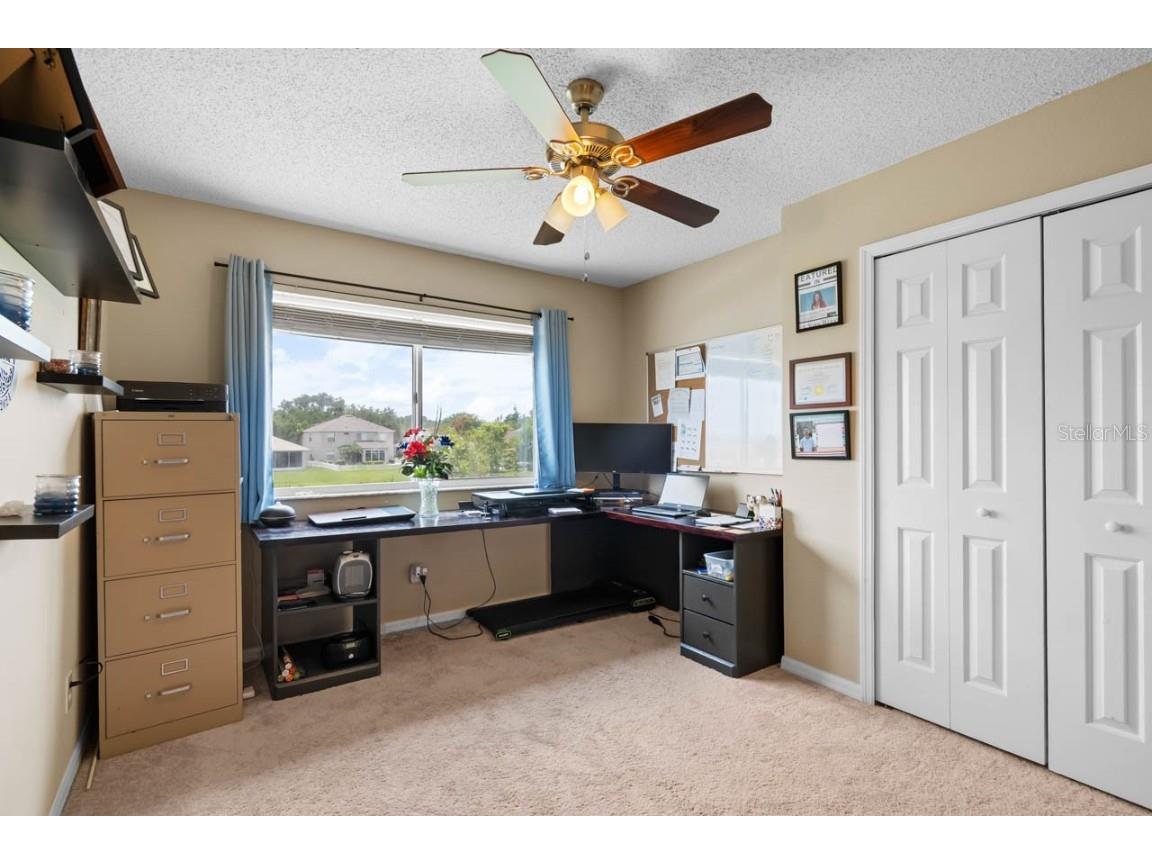 1933 Fruitridge Street Brandon FL 33510 TB8389519 image25