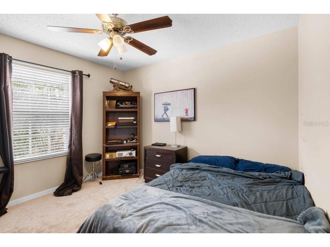 1933 Fruitridge Street Brandon FL 33510 TB8389519 image26