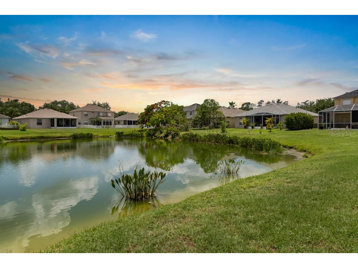 1933 Fruitridge Street Brandon FL 33510 TB8389519 image36