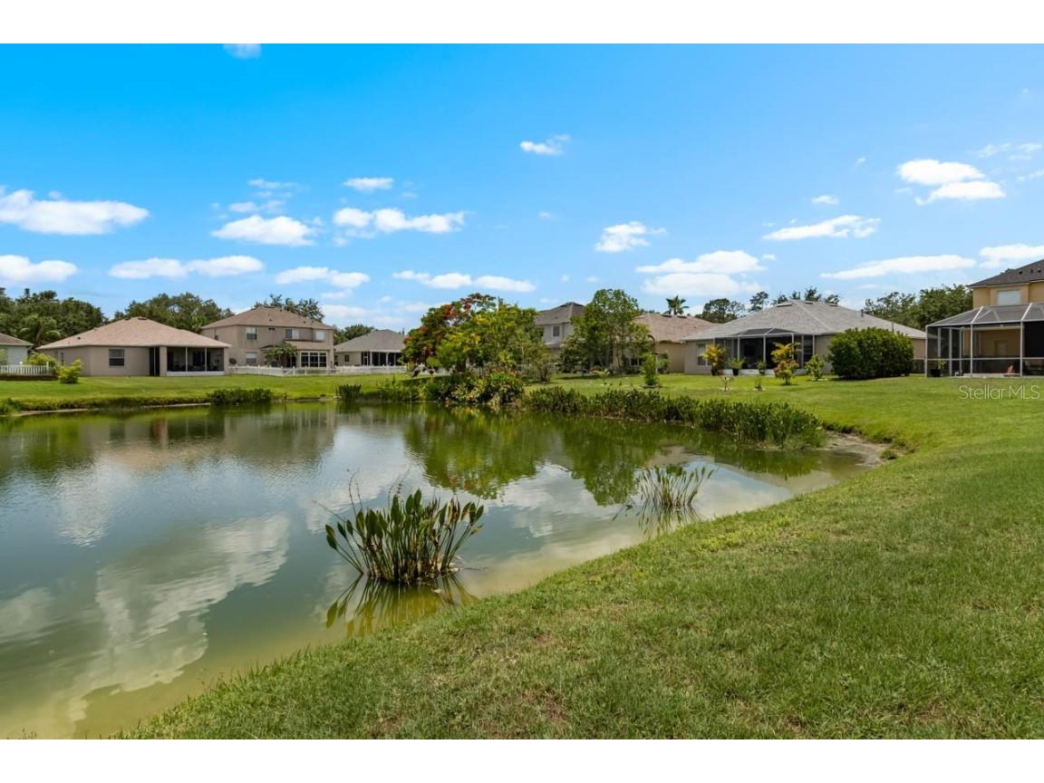 1933 Fruitridge Street Brandon FL 33510 TB8389519 image37