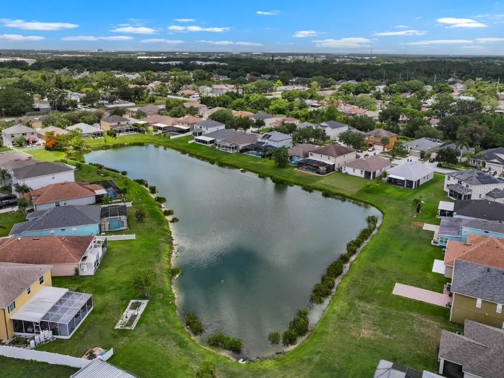 1933 Fruitridge Street Brandon FL 33510 TB8389519 image49