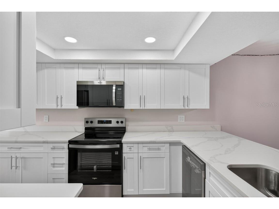 1933 Golfview Drive #1933 Tarpon Springs FL 34689 TB8445798 image6