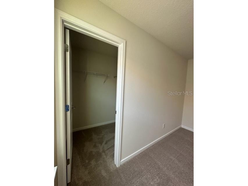 1933 Summer Serenity Drive Kissimmee FL 34744 S5140872 image33