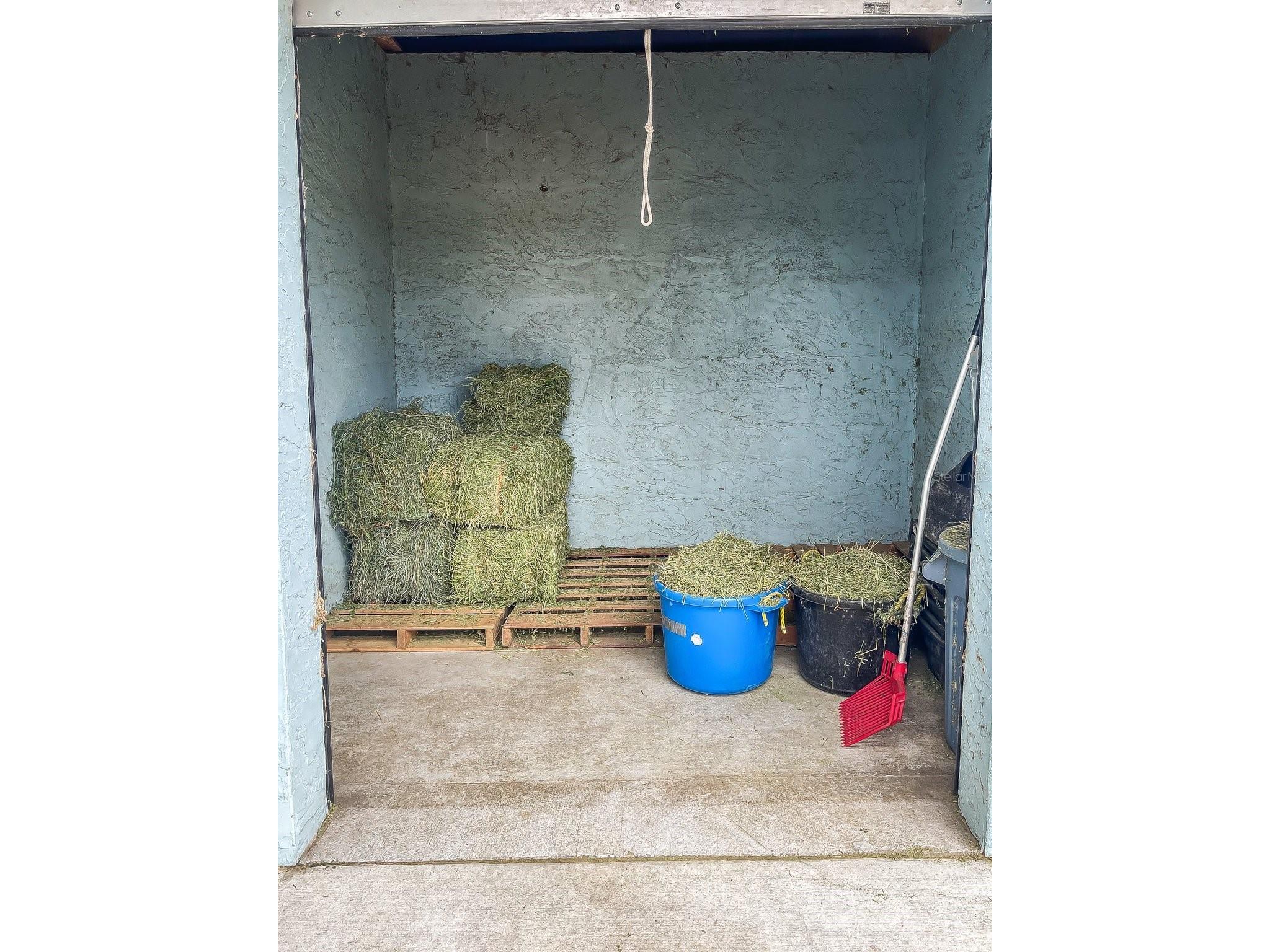 19331 E Levy Street Williston FL 32696 OM716881 image67