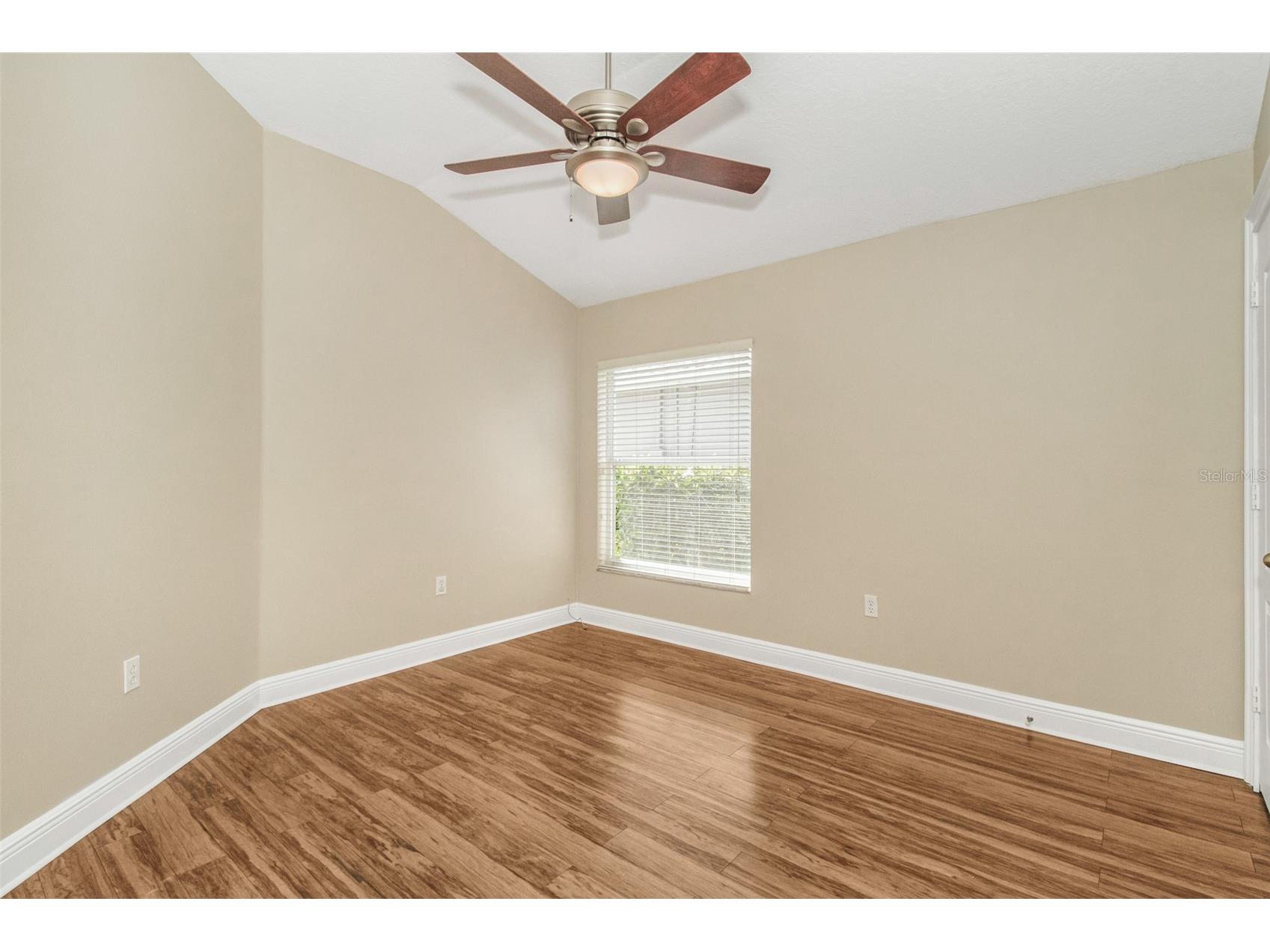 19331 Haskell Place Land O Lakes FL 34638 TB8486169 image24