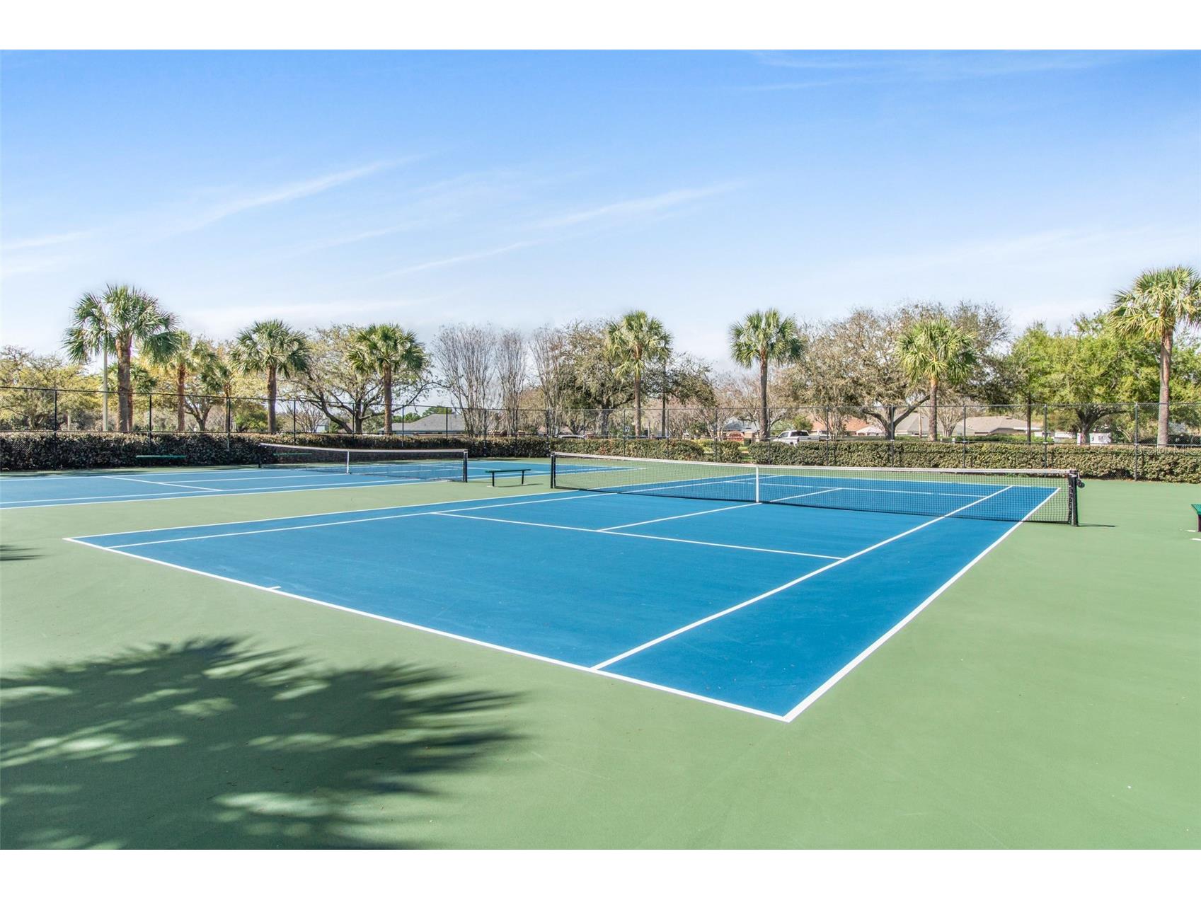 19331 Haskell Place Land O Lakes FL 34638 TB8486169 image33