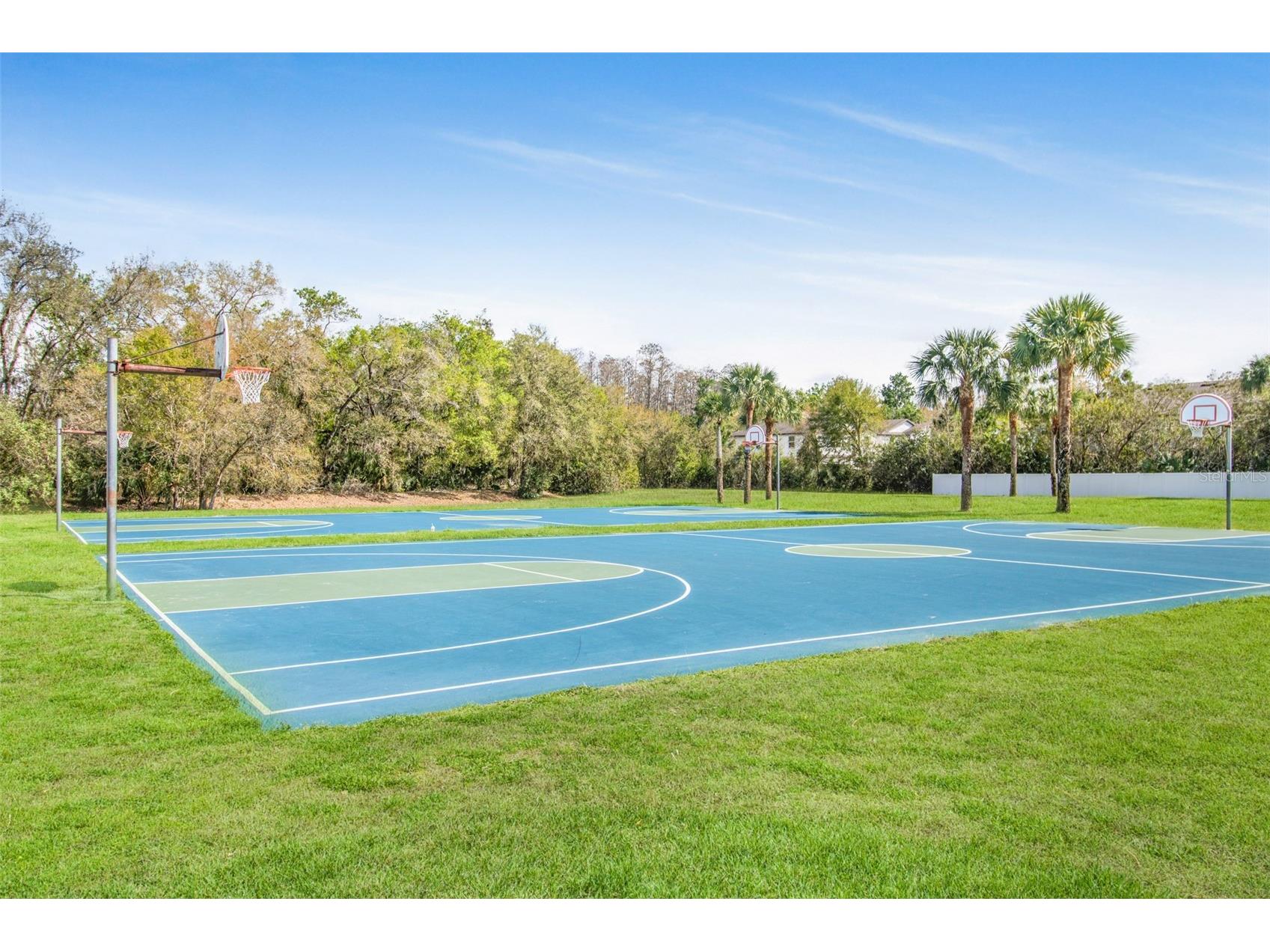 19331 Haskell Place Land O Lakes FL 34638 TB8486169 image34