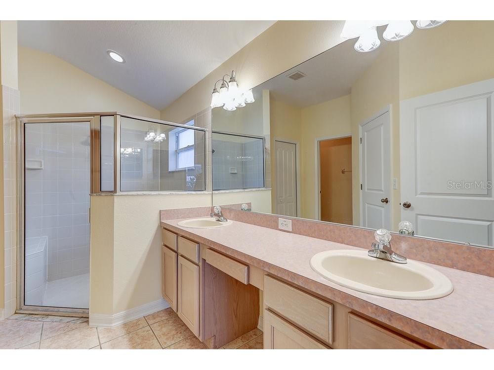 19332 Everton Place Land O Lakes FL 34638 TB8426407 image28