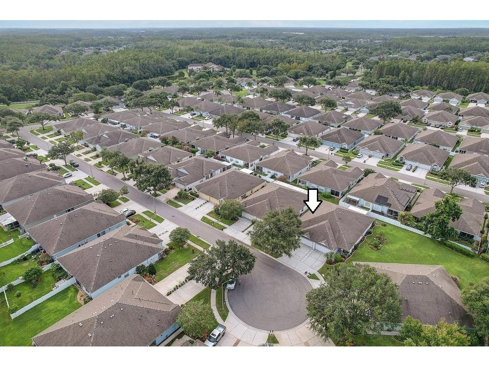 19332 Everton Place Land O Lakes FL 34638 TB8426407 image34