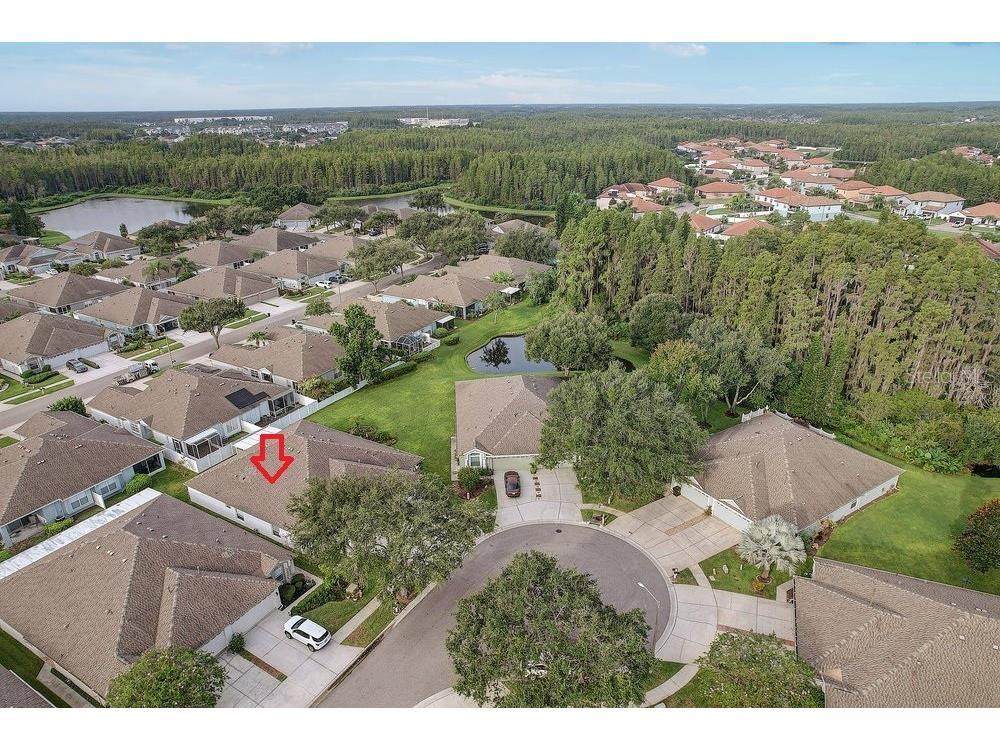 19332 Everton Place Land O Lakes FL 34638 TB8426407 image35