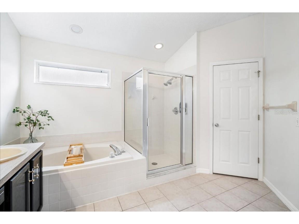 19333 Aqua Springs Drive Lutz FL 33558 TB8440852 image21