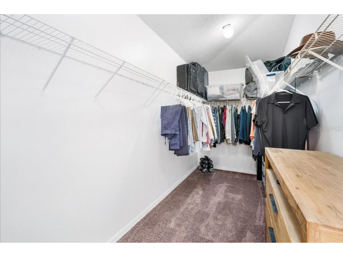 19333 Aqua Springs Drive Lutz FL 33558 TB8440852 image22