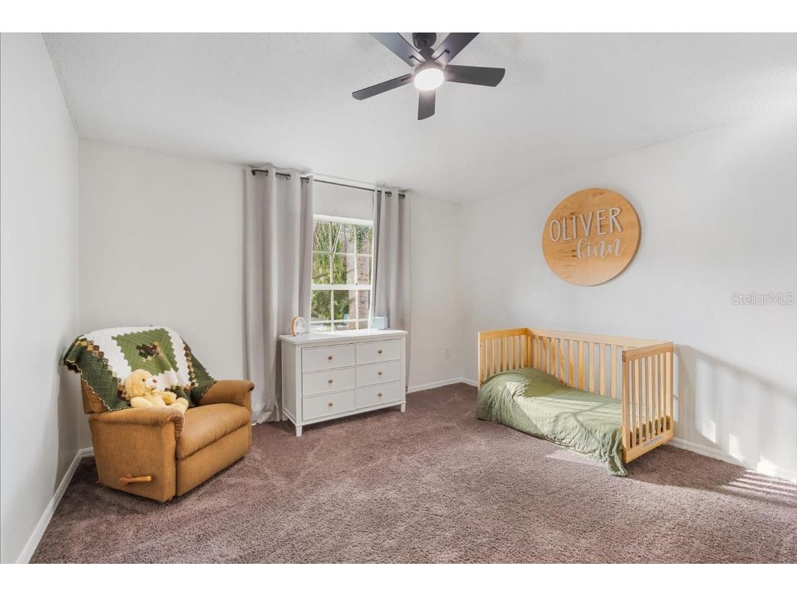 19333 Aqua Springs Drive Lutz FL 33558 TB8440852 image28