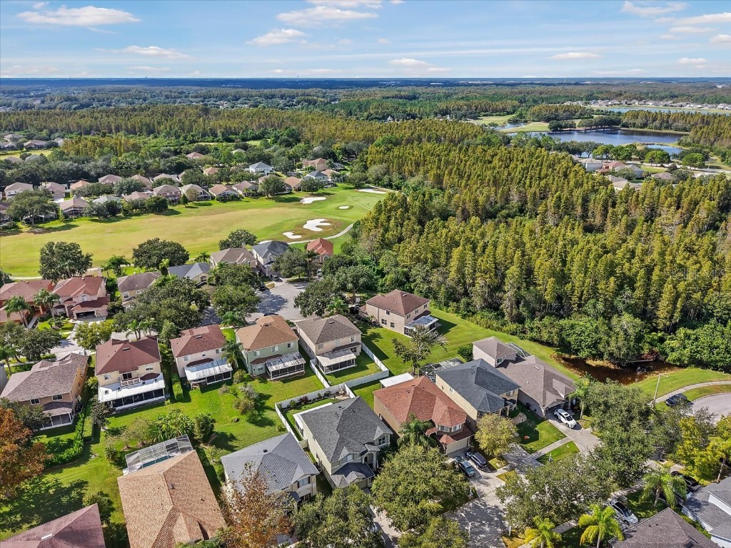 19333 Aqua Springs Drive Lutz FL 33558 TB8440852 image33