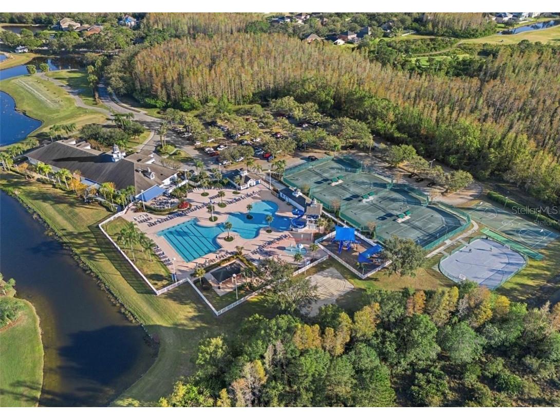 19333 Aqua Springs Drive Lutz FL 33558 TB8440852 image36