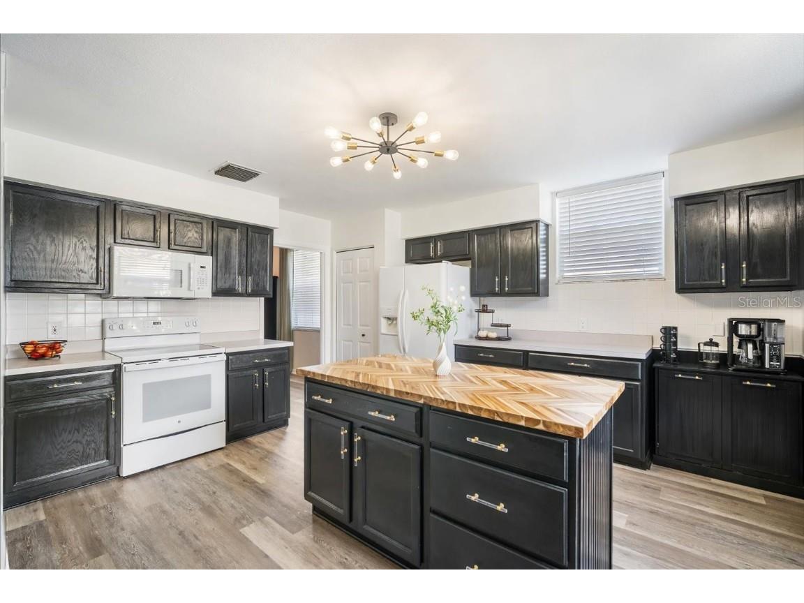 19333 Aqua Springs Drive Lutz FL 33558 TB8440852 image9