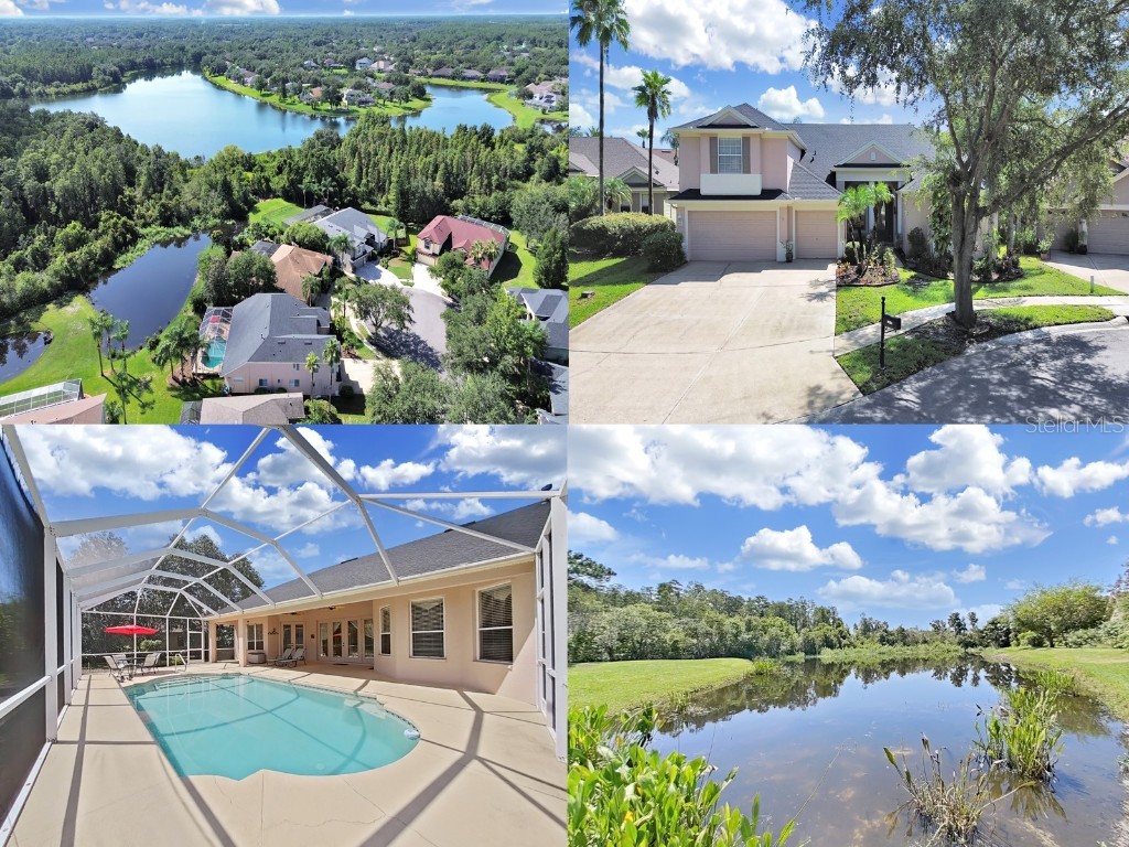 19334 Autumn Woods Avenue Tampa FL 33647 T3544994 image76