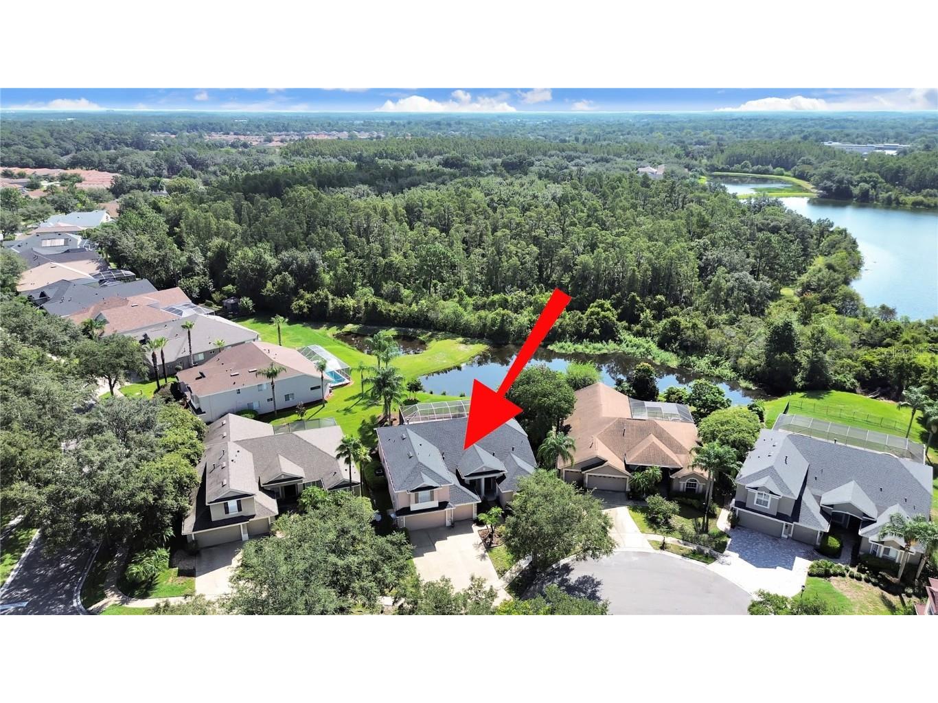 19334 Autumn Woods Avenue Tampa FL 33647 T3544994 image96