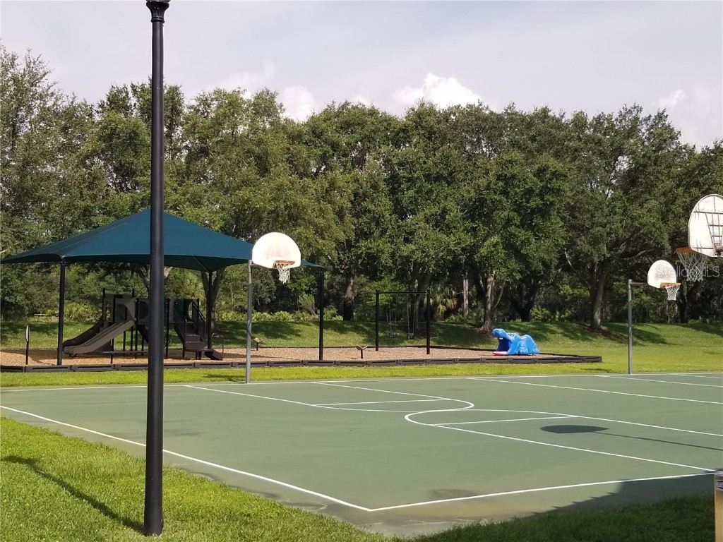 19334 Autumn Woods Avenue Tampa FL 33647 T3544994 image98