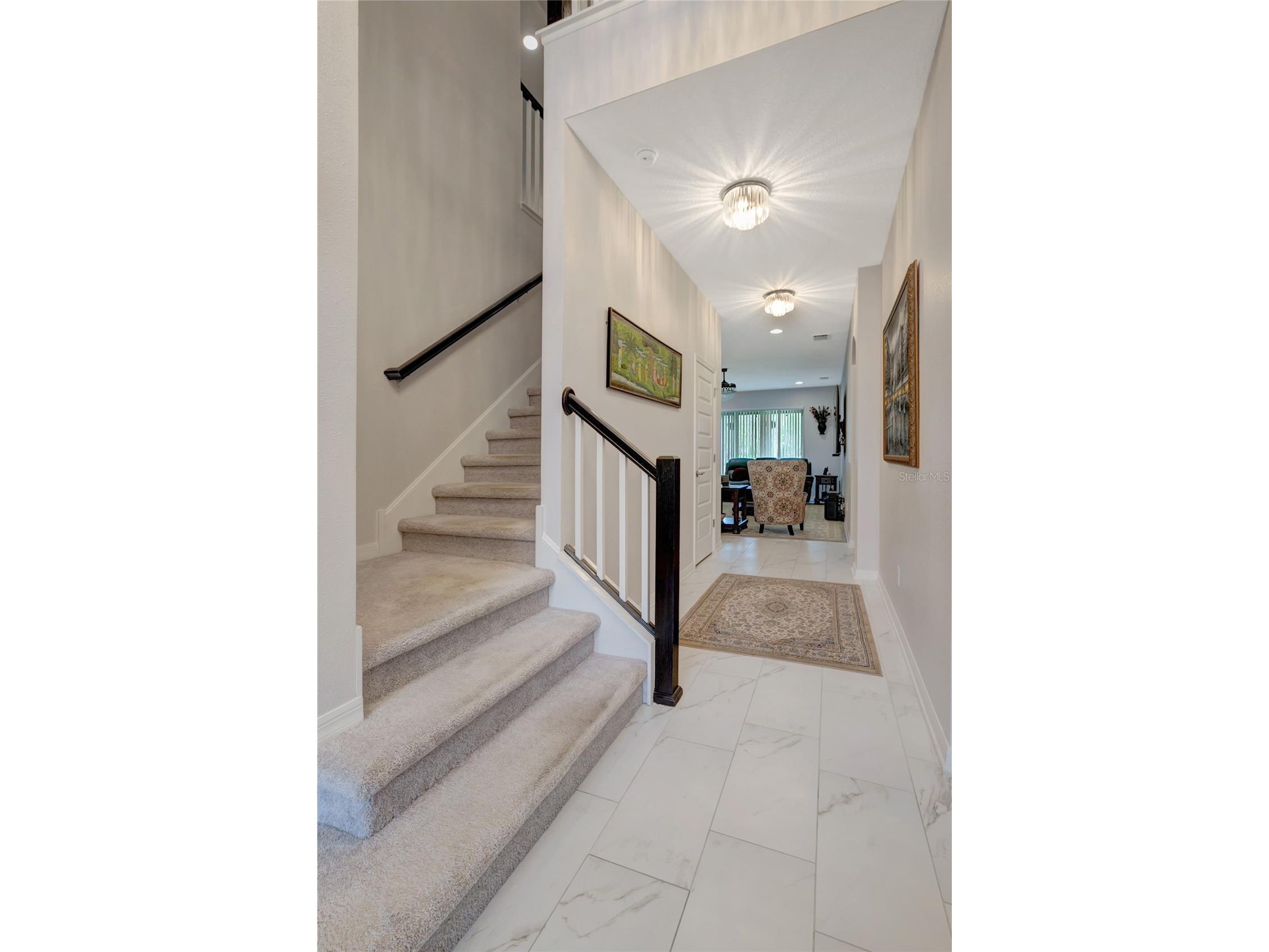19335 Eagle Creek Lane Tampa FL 33647 O6415793 image11