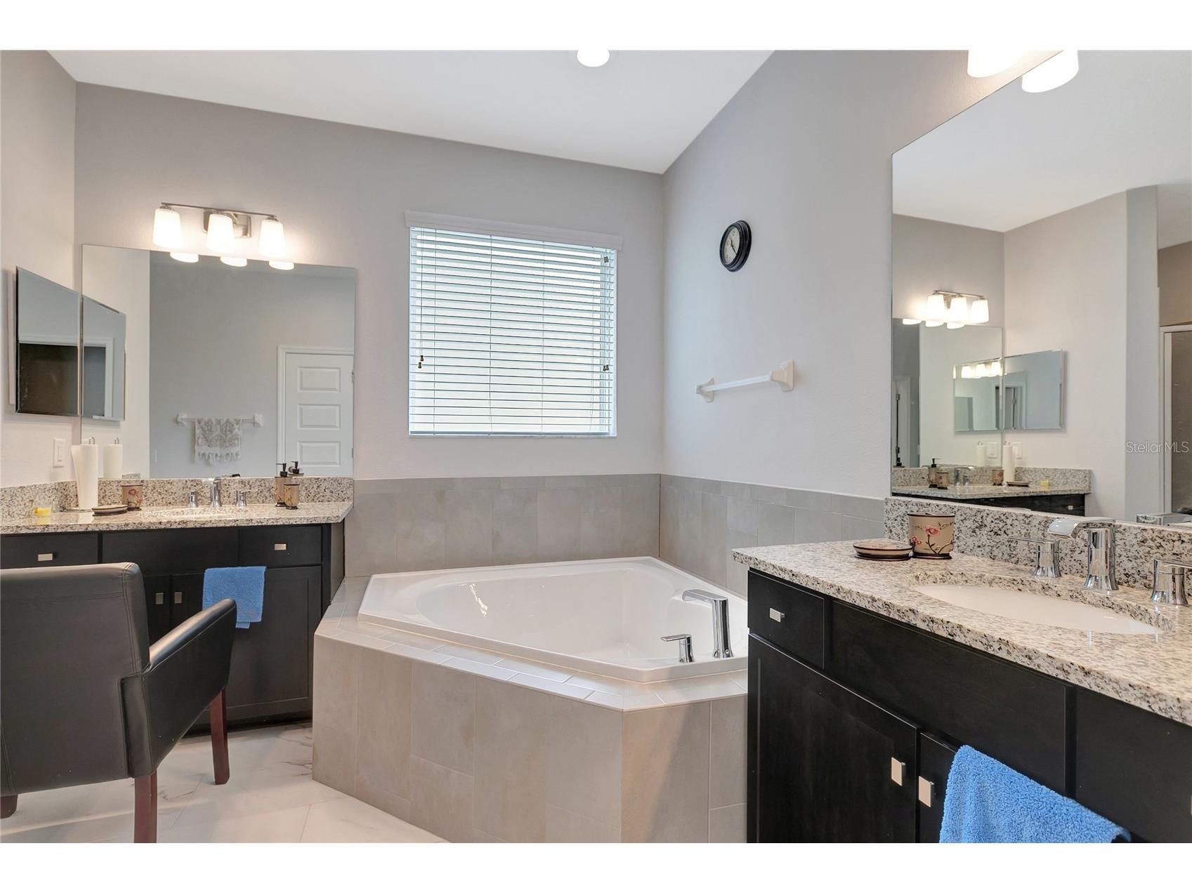 19335 Eagle Creek Lane Tampa FL 33647 O6415793 image41
