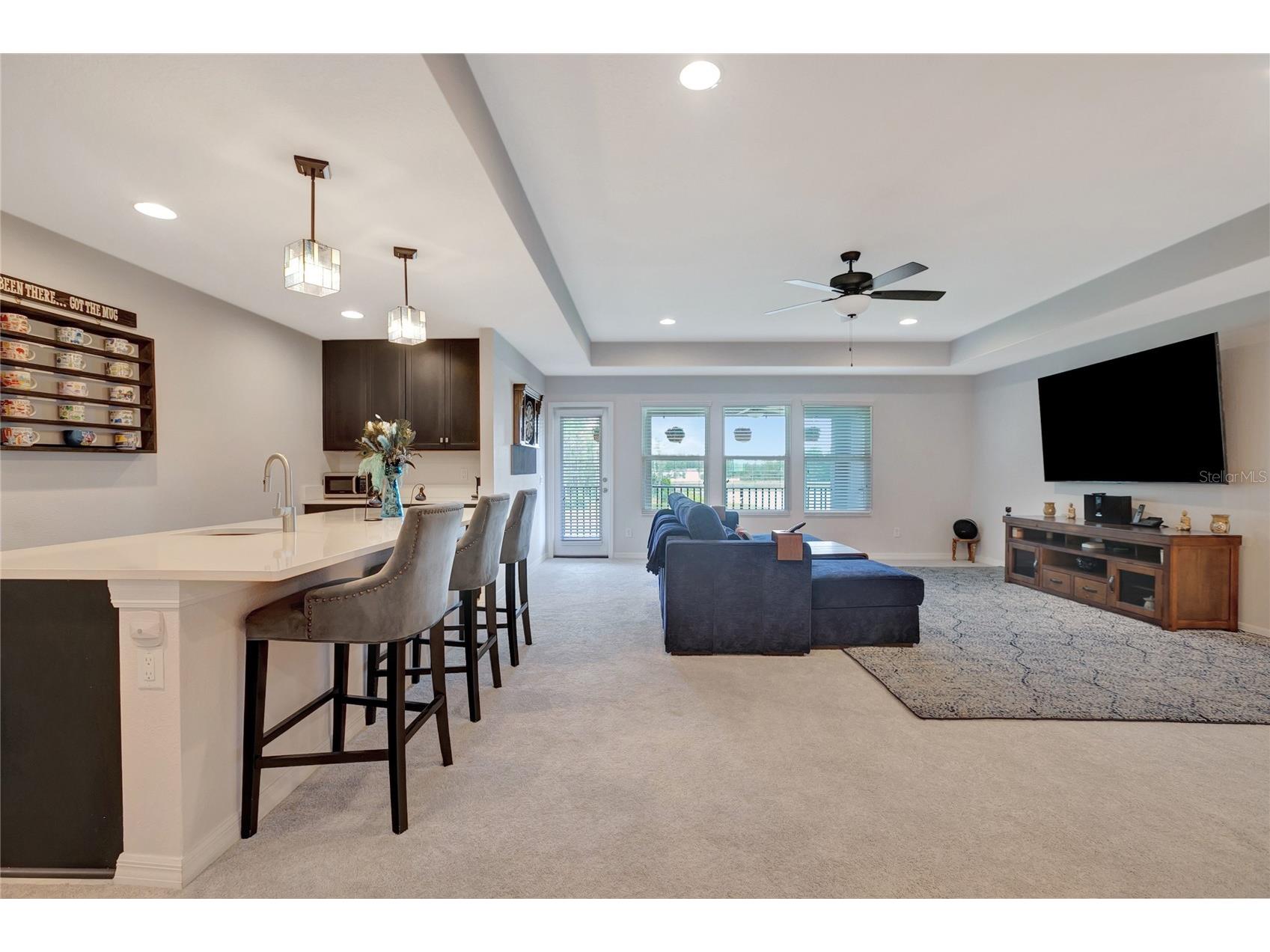 19335 Eagle Creek Lane Tampa FL 33647 O6415793 image68