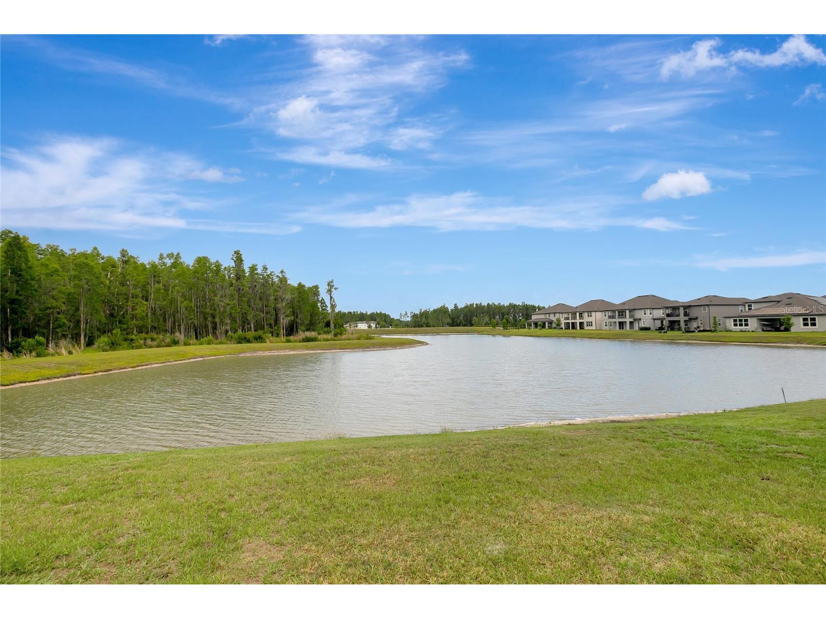 19335 Eagle Creek Lane Tampa FL 33647 O6415793 image84