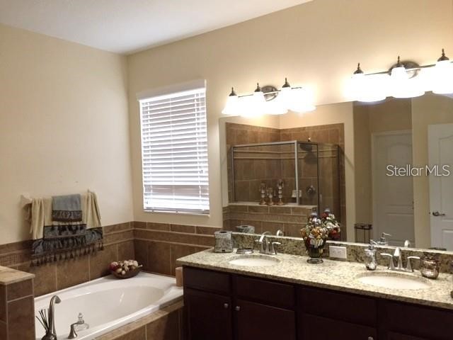 19335 Paddock View Drive Tampa FL 33647 TB8525966 image10
