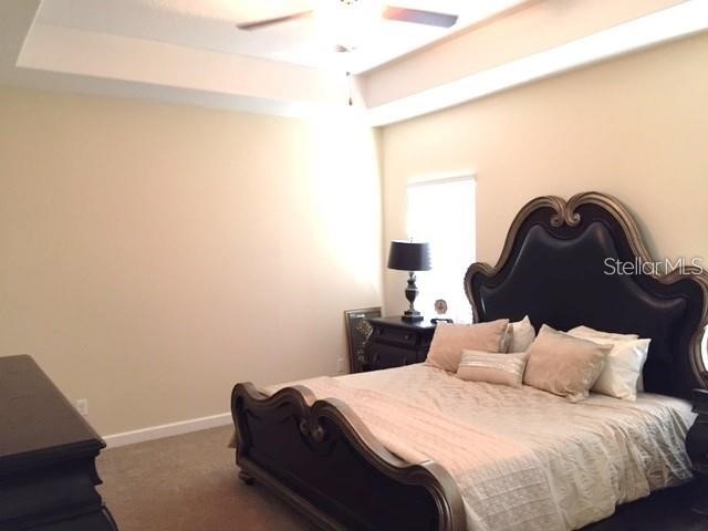 19335 Paddock View Drive Tampa FL 33647 TB8525966 image13