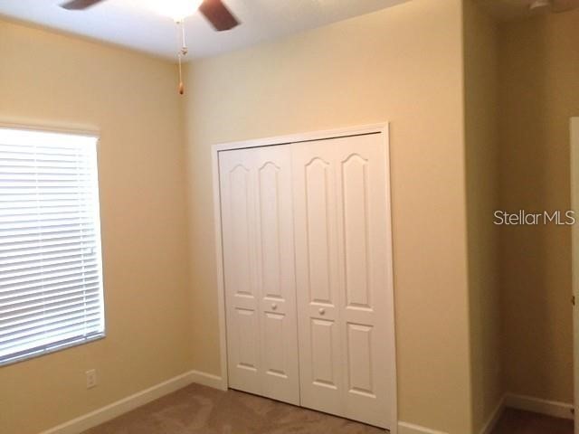 19335 Paddock View Drive Tampa FL 33647 TB8525966 image14