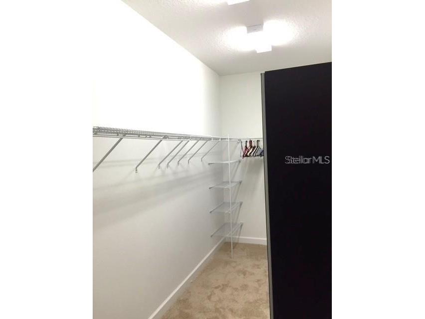 19335 Paddock View Drive Tampa FL 33647 TB8525966 image21