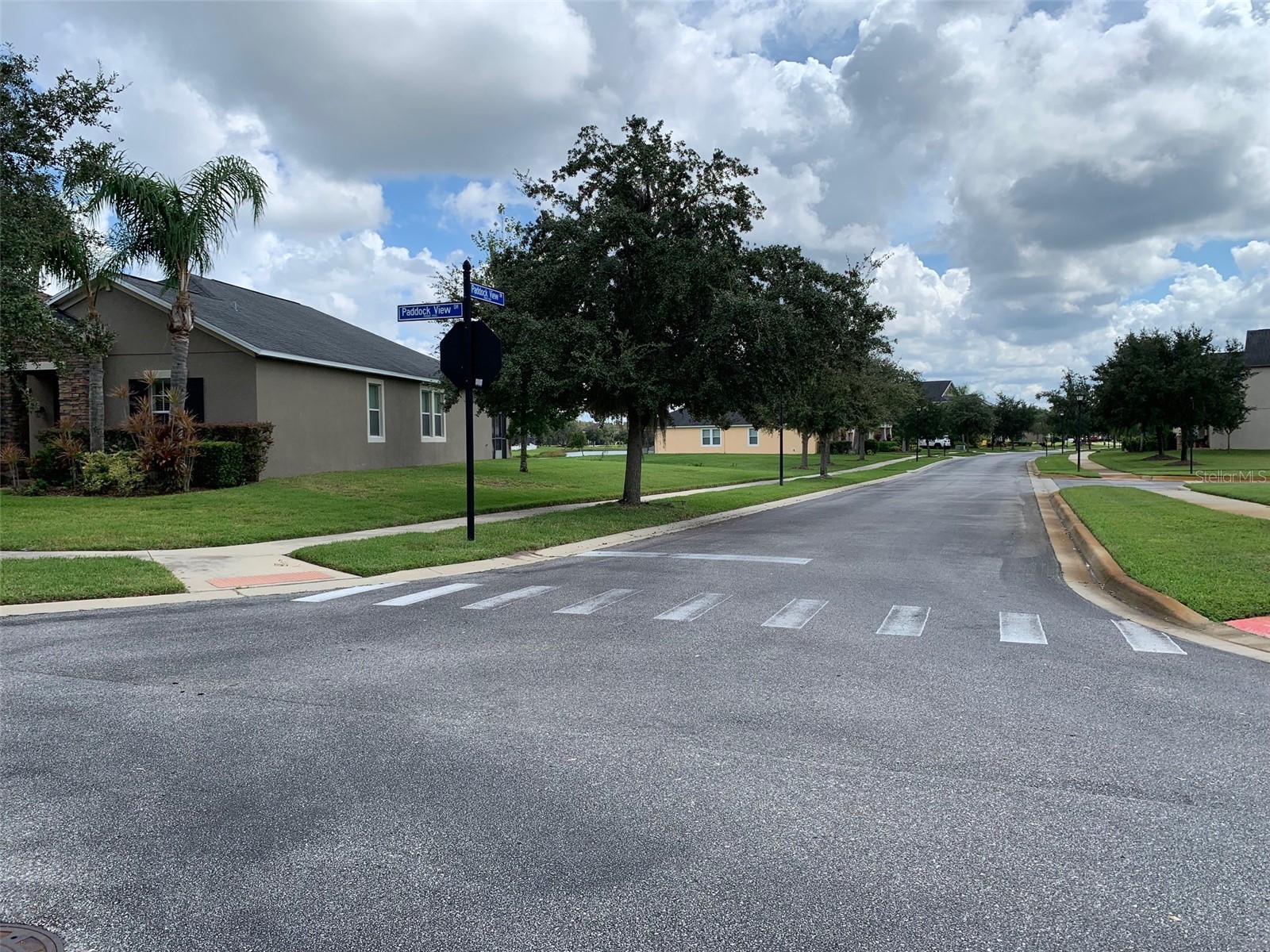 19335 Paddock View Drive Tampa FL 33647 TB8525966 image27