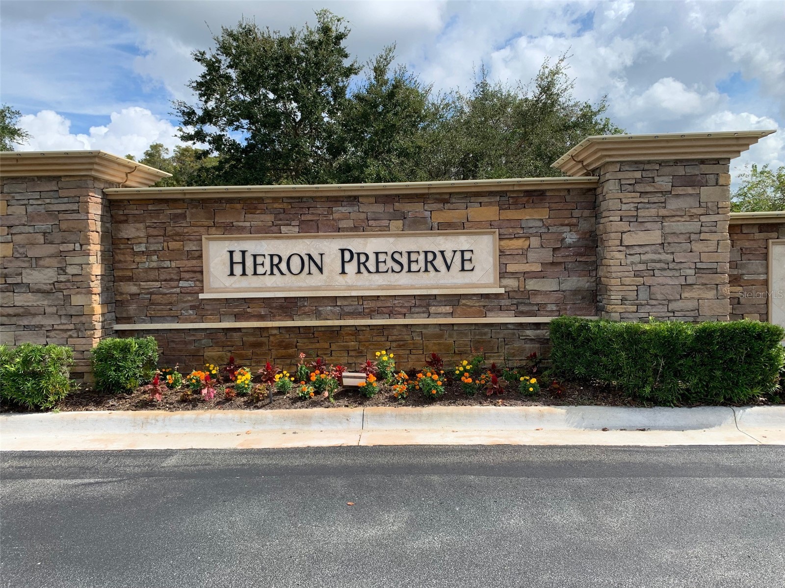 19335 Paddock View Drive Tampa FL 33647 TB8525966 image32