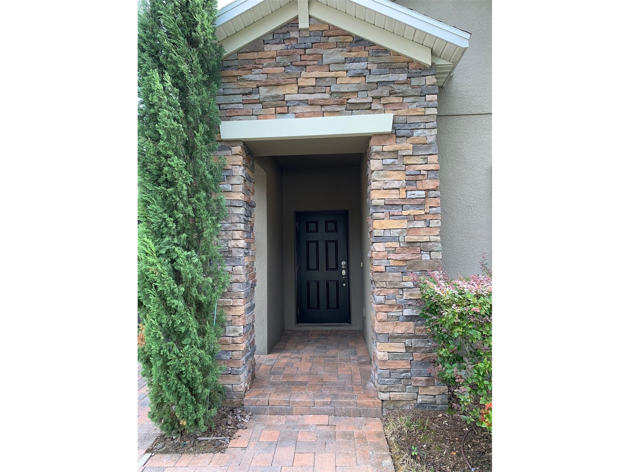 19335 Paddock View Drive Tampa FL 33647 TB8525966 image4